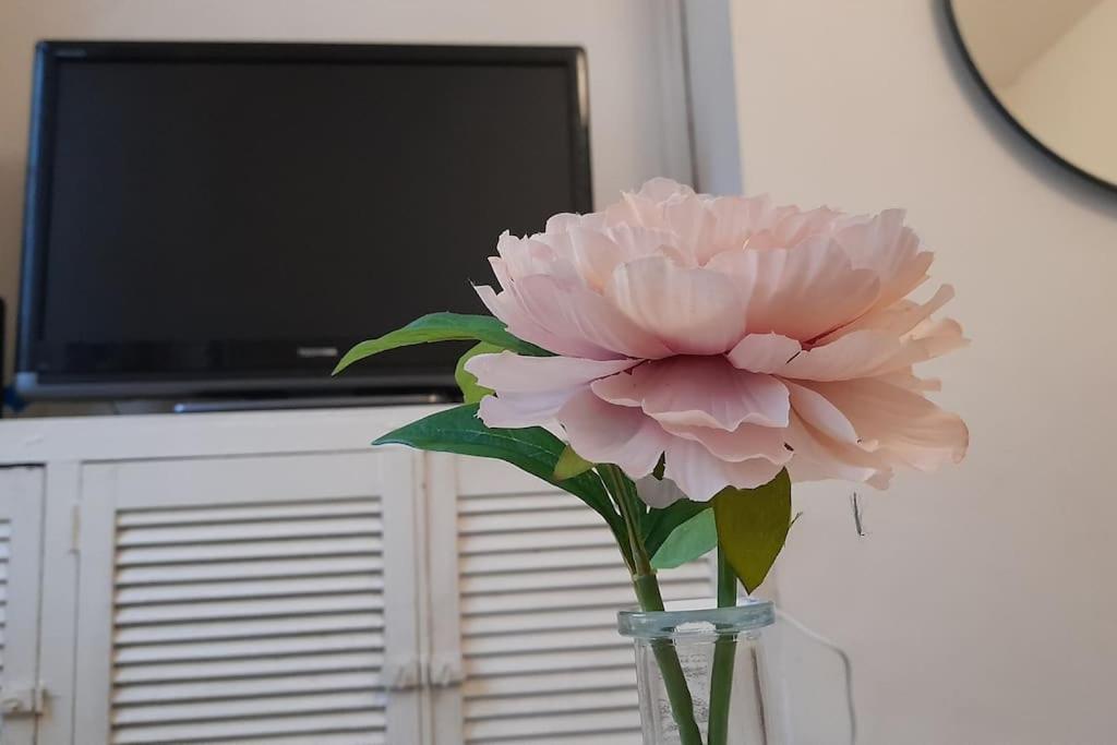 Spacious 4 Bedroom, Free Netflix, Central Location Κάρντιφ Εξωτερικό φωτογραφία